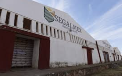 RESPALDAN DIPUTADOS FIN DE SEGALMEX Y CREACIÓN DE «ALIMENTACIÓN PARA EL BIENESTAR»